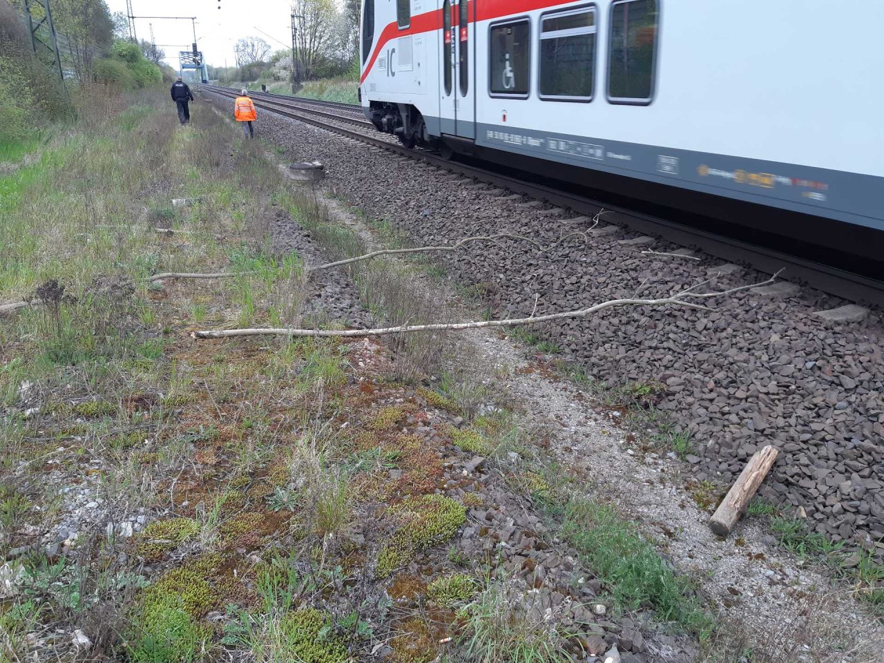 Bahn in Wolfenbüttel Steine auf Gleise gelegt Polizei hat Täter im