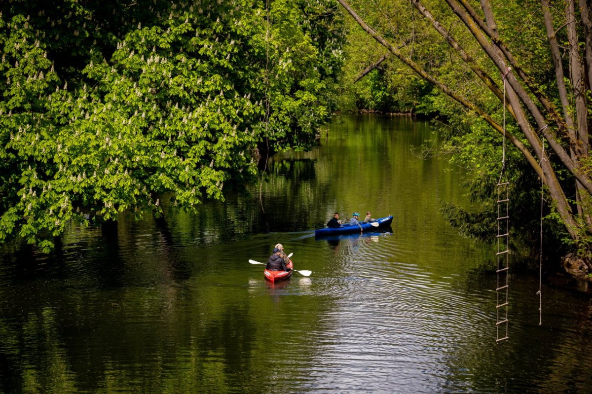 Braunschweig Oker Ufer.jpg