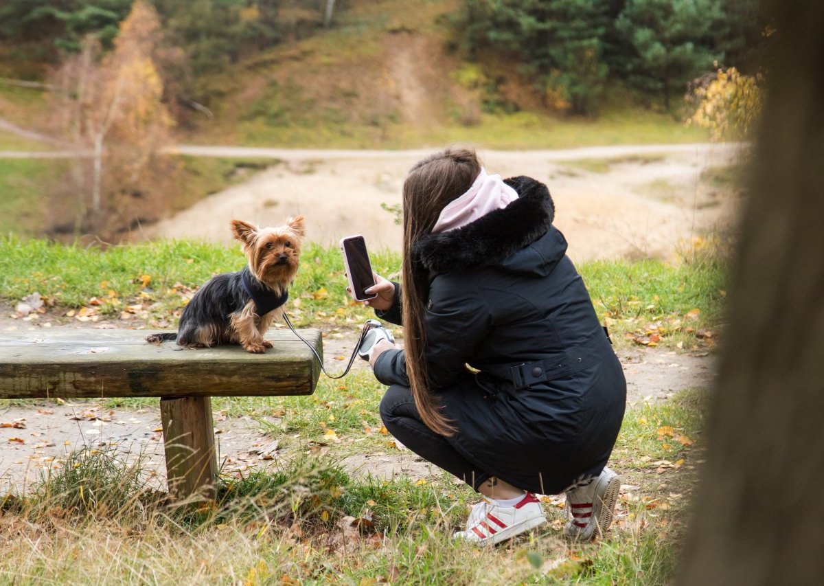 frau hund gassi harz