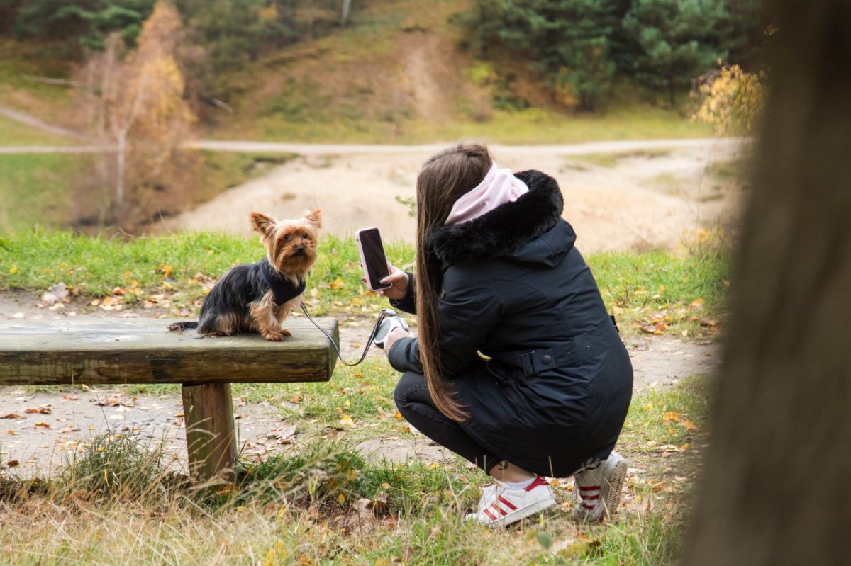 frau hund gassi harz