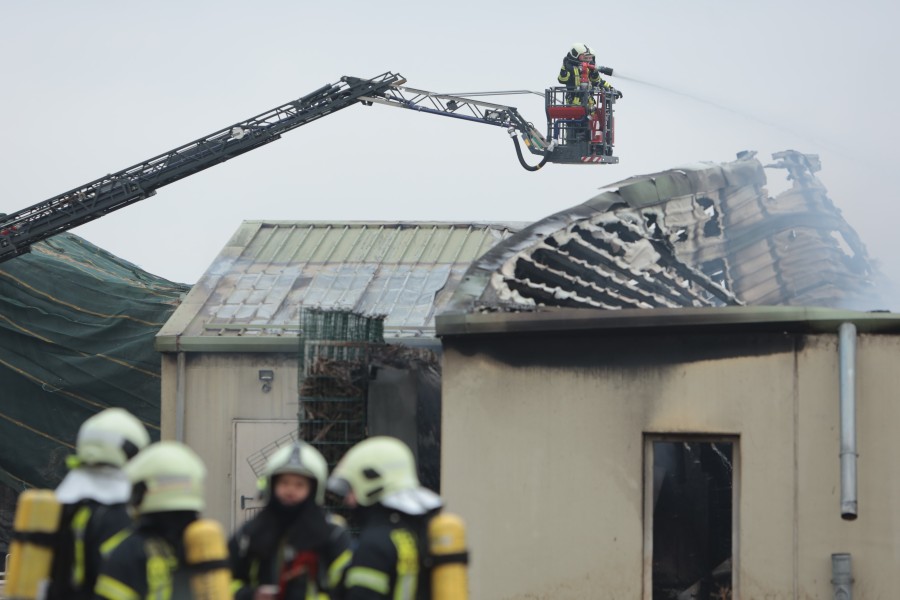 Feuerwehrleute bekämpfen einen Brand in einer Schweinemastanlage im Harz. 