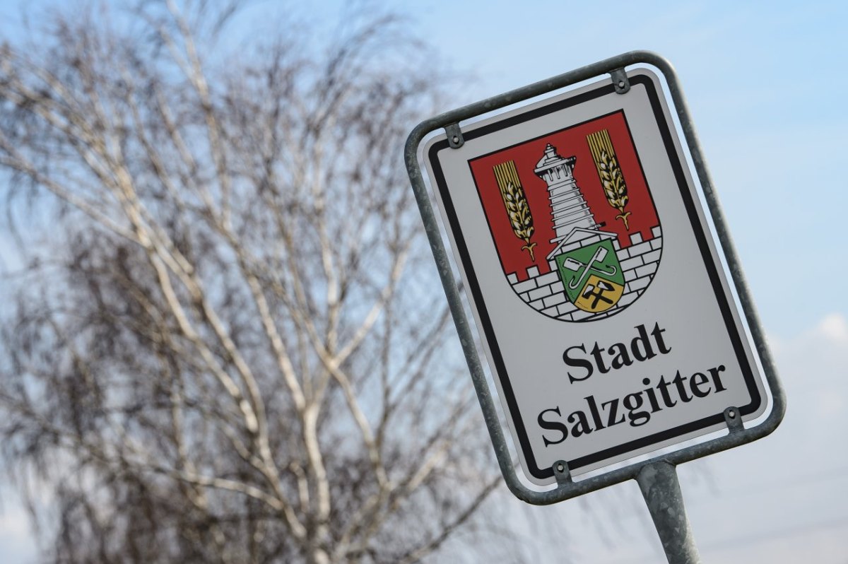 Salzgitter Innenstadt Oase.jpg