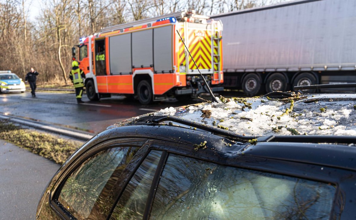 Unfall umgestuerzter Baum Salzgitter