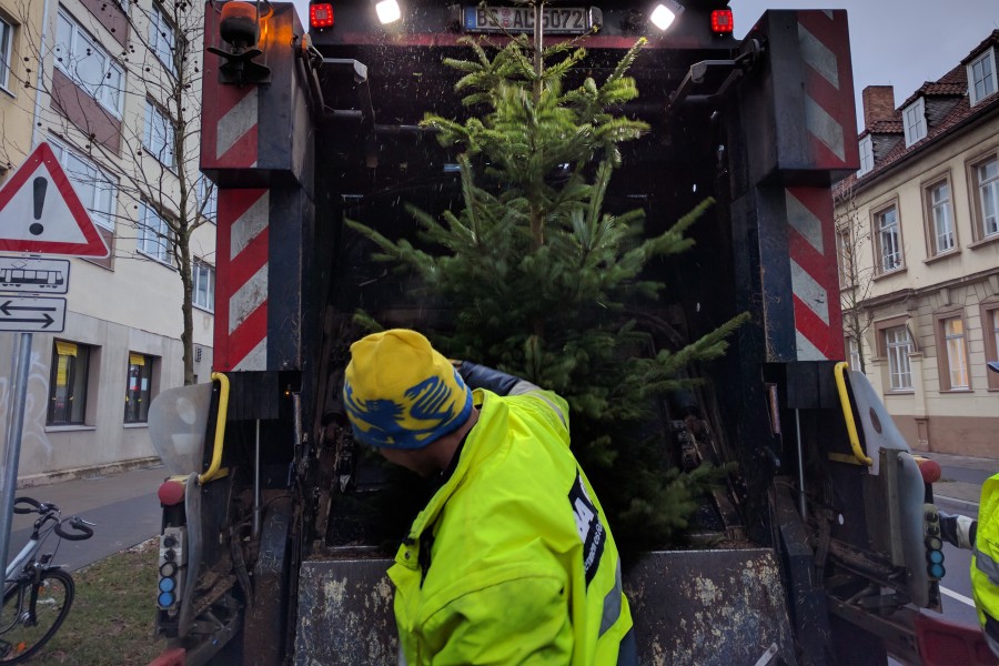 Timo hat am Wochenende schon beim Weihnachtsbaum-Weitwurf-Wettbewerb mitgemacht.