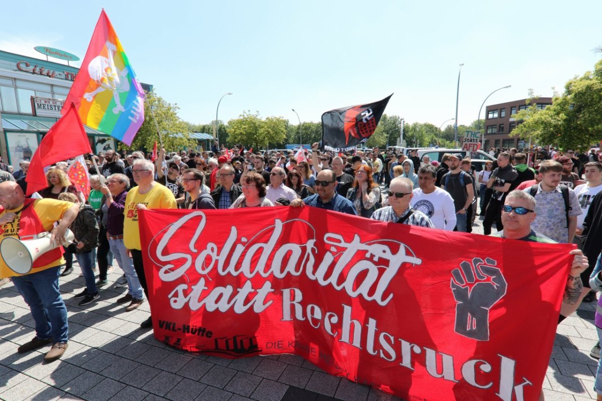 Demo-Salzgitter.JPG