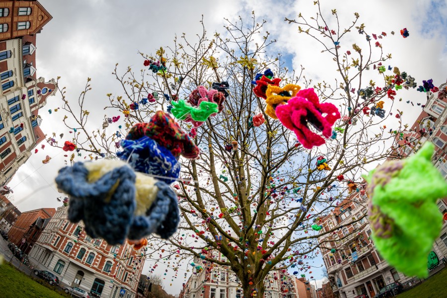 An einem Baum in Hannover hängen gehäkelte Schmetterlinge zur Aufheiterung. 