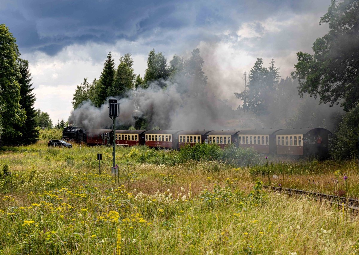 Harz