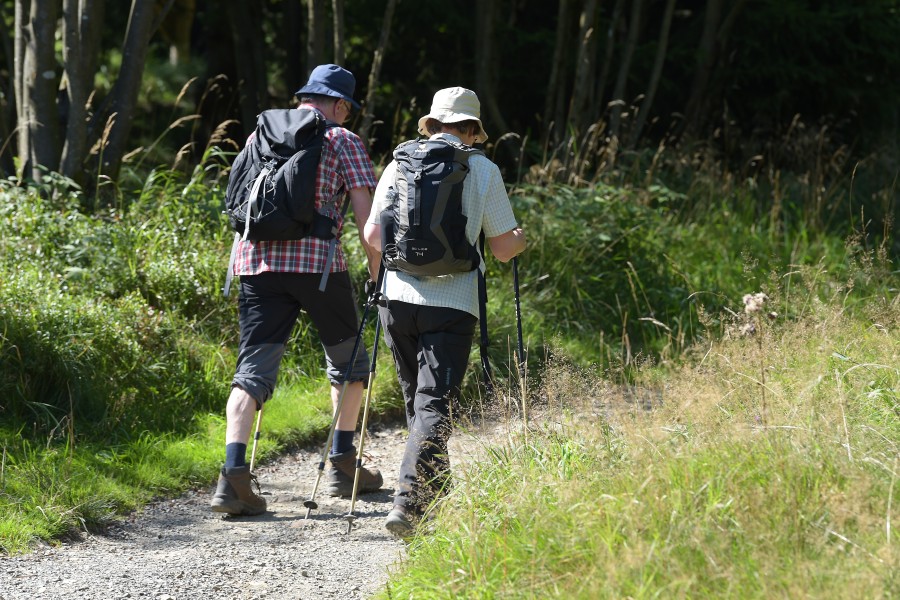 Im Harz zu wandern gehört zu den beliebtesten Unternehmungen von Touristen. (Symbolbild)