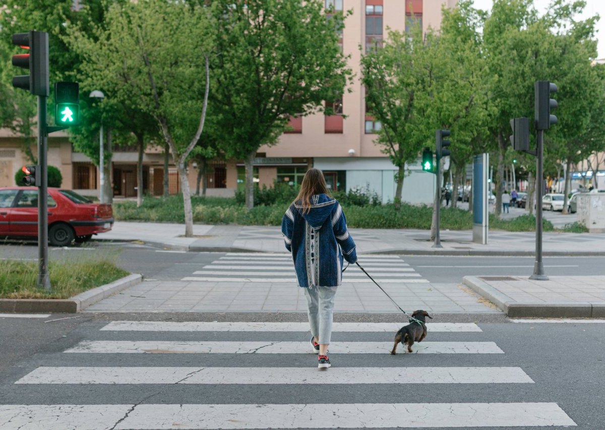 Mädchen mit Hund