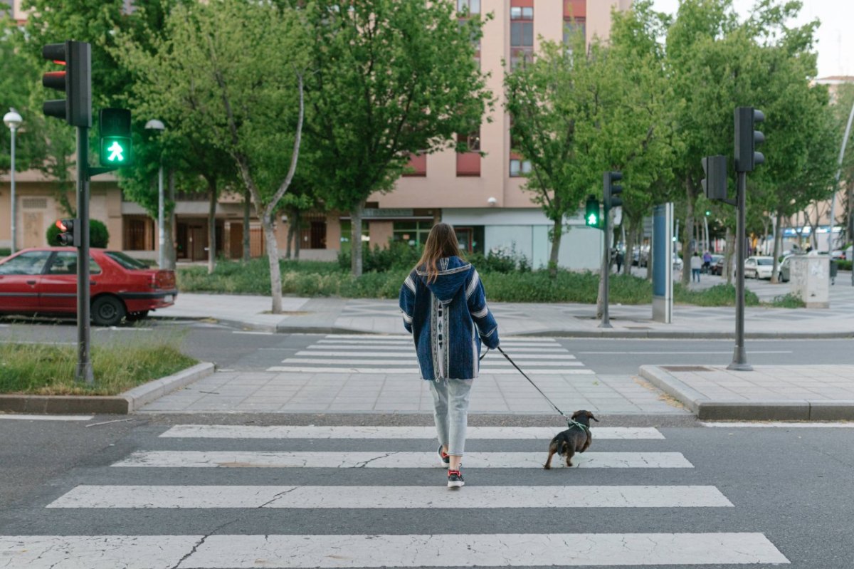 Mädchen mit Hund