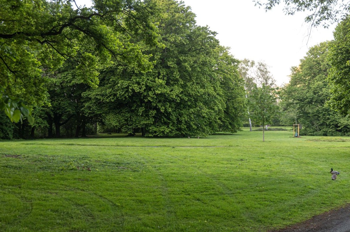 Salzgitter Stadtpark Polizei Niedersachsen Krankenhaus Notruf Verletzung Rettungsdienst