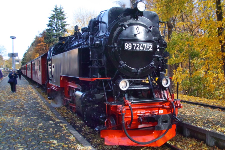 Die Harzer Schmalspurbahnen erfreuen sich großer Beliebtheit. (Archivbild) 