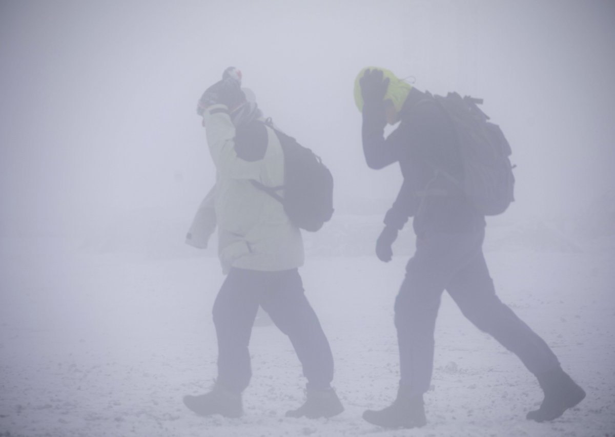 Sturm Winter schnee harz wandern Spazieren