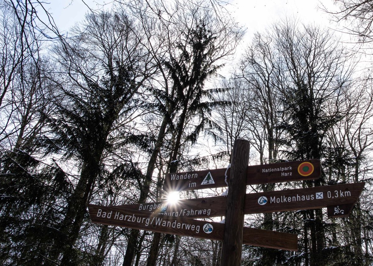 Wandern im Harz.jpg