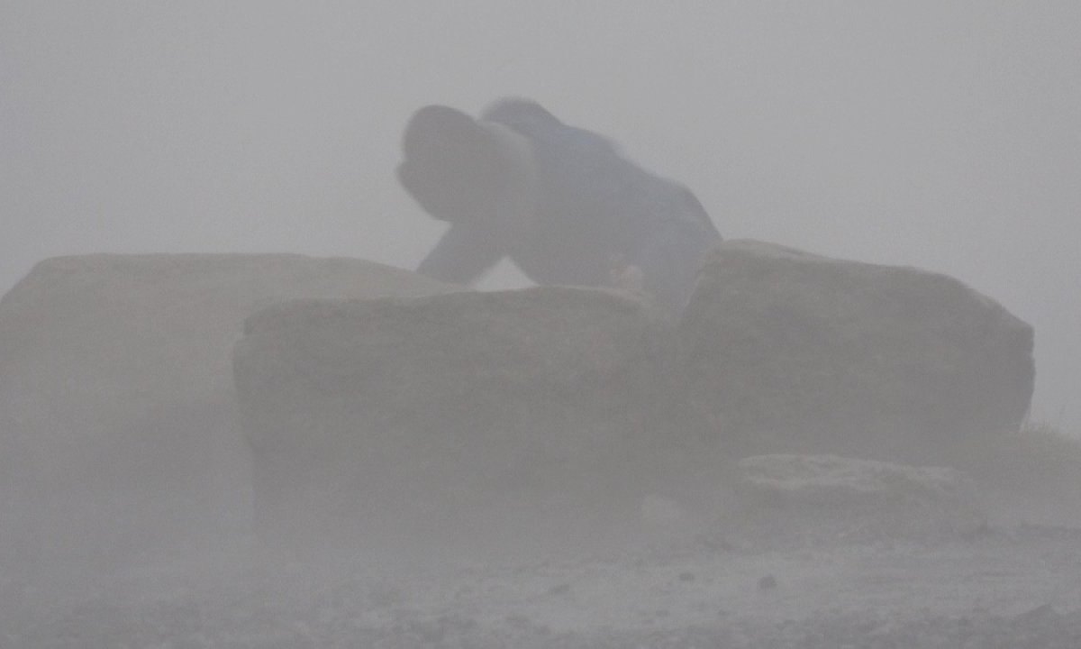 Wetter in Niedersachsen.jpg