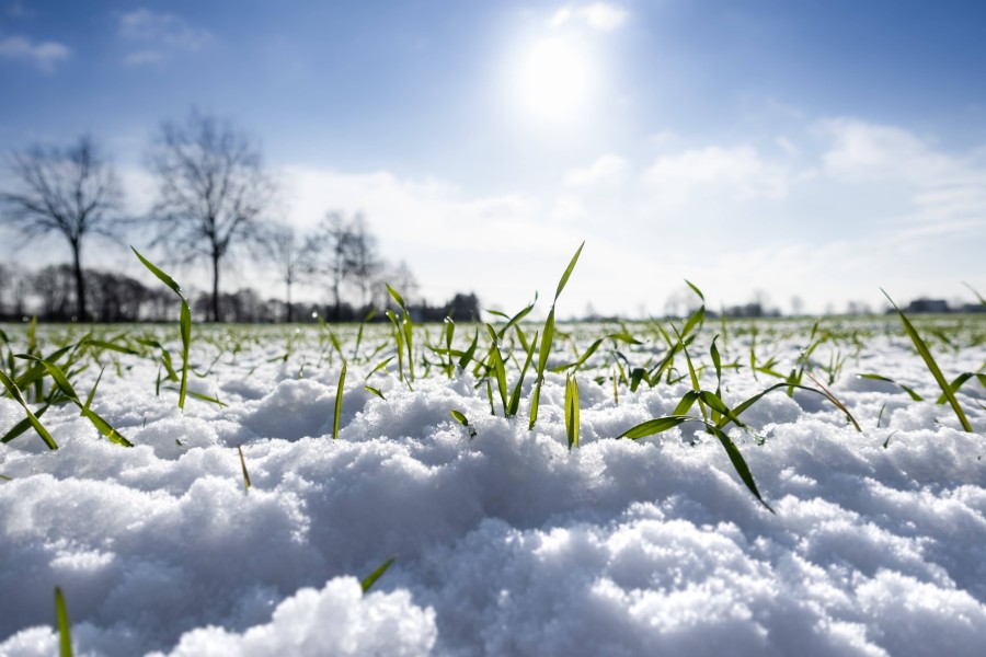 Das frühlingshafte Wetter in Niedersachsen hat den Schnee zum Schmelzen gebracht. (Symbolfoto)