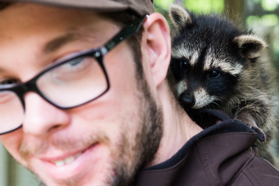 Der Zoo Braunschweig hat zu – offenbar wollen sich andere daran bereichern. (Archivbild)