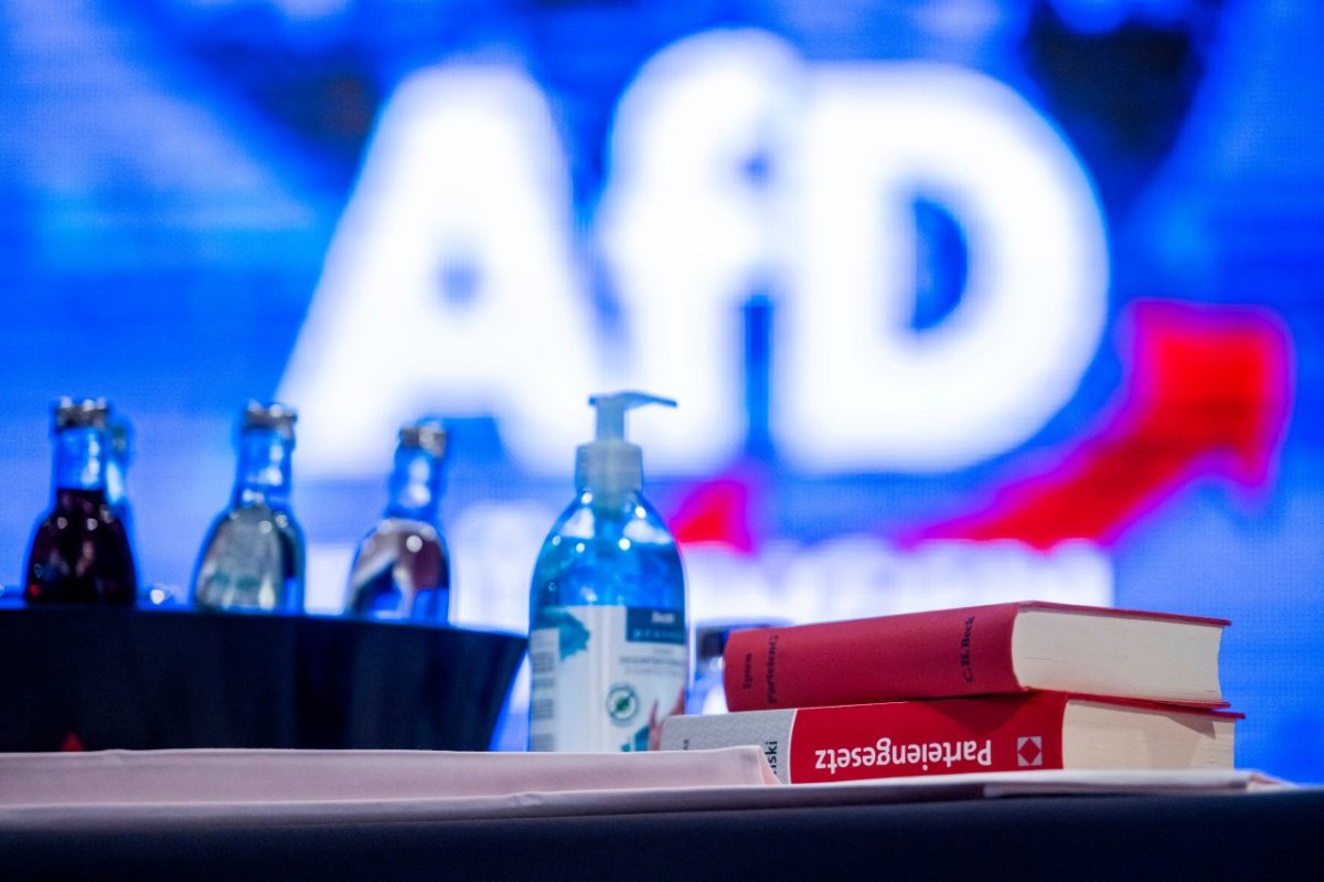 afd braunschweig.jpg