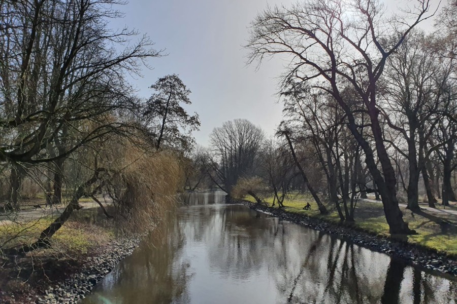 Am Dienstag kannst du mit bis zu sechs Sonnenstunden rechnen! Grund genug, um in Braunschweig mal rauszugehen – zum Beispiel in den Bürgerpark. 