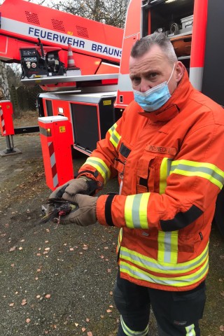 Ein Feuerwehrmann aus Braunschweig kümmert sich um den verletzten Specht. 