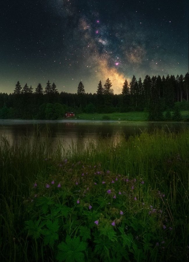 foto harz facebook Ziegenberger Teich