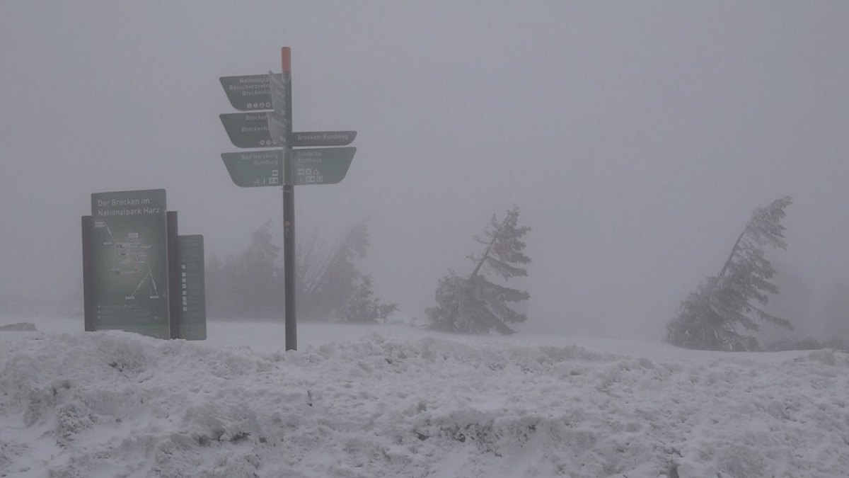 harz