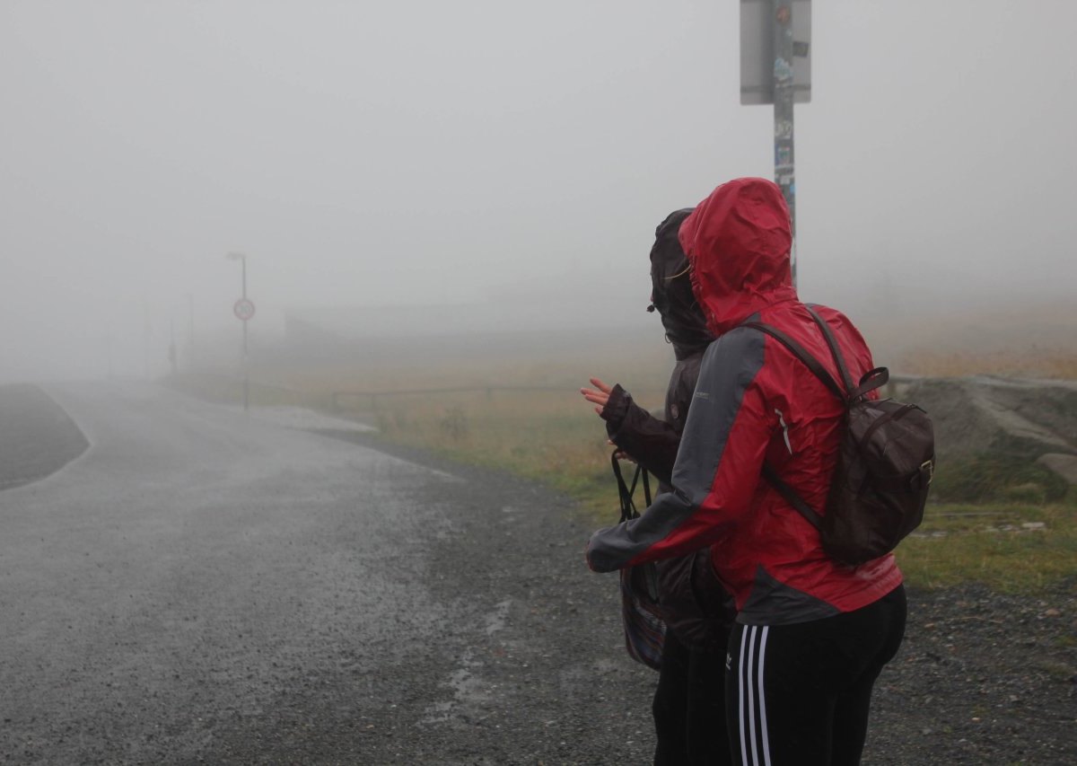 harz brocken.jpg