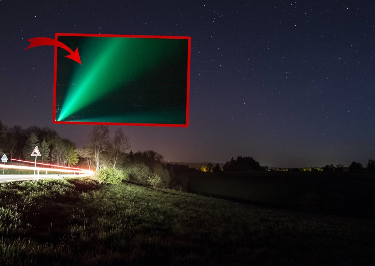 harz licht collage.jpg