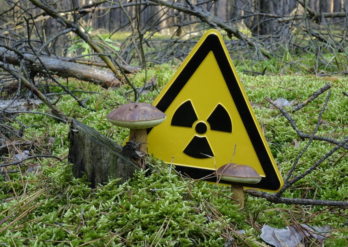 harz radon atom radioaktiv goslar clausthal braunlage