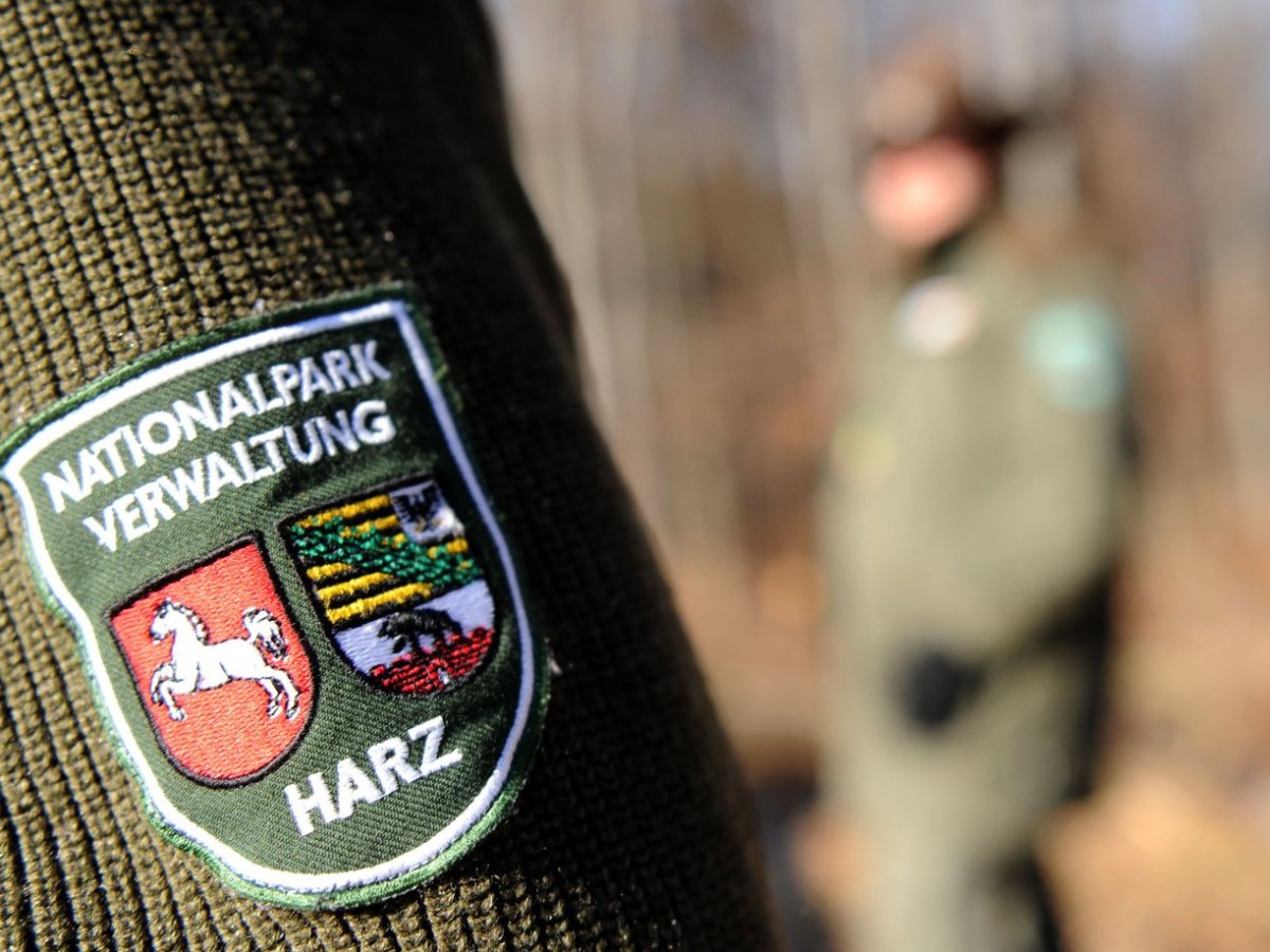 harz ranger müll neu