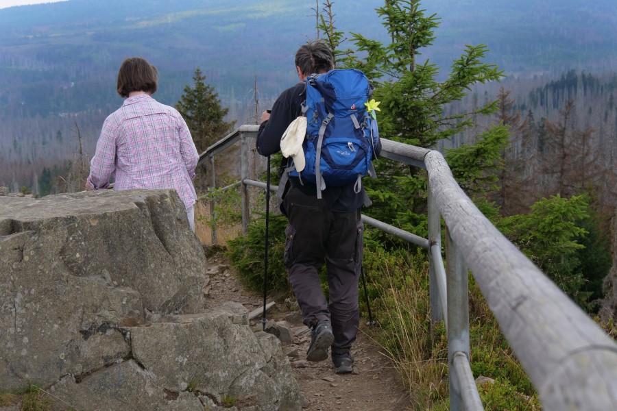 In den letzten Jahren hat die Zahl der Bergunfälle im Harz zugenommen. (Symbolbild)