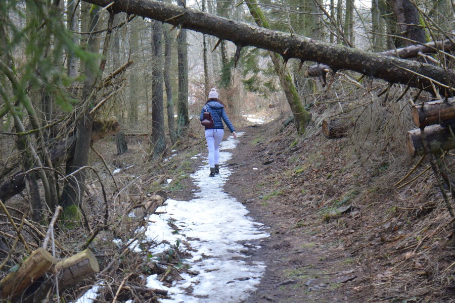 Trotz der frühen Jahreszeit besteht im Harz schon Waldbrandgefahr. 