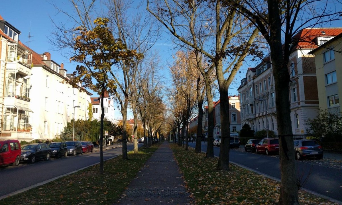 jasperallee