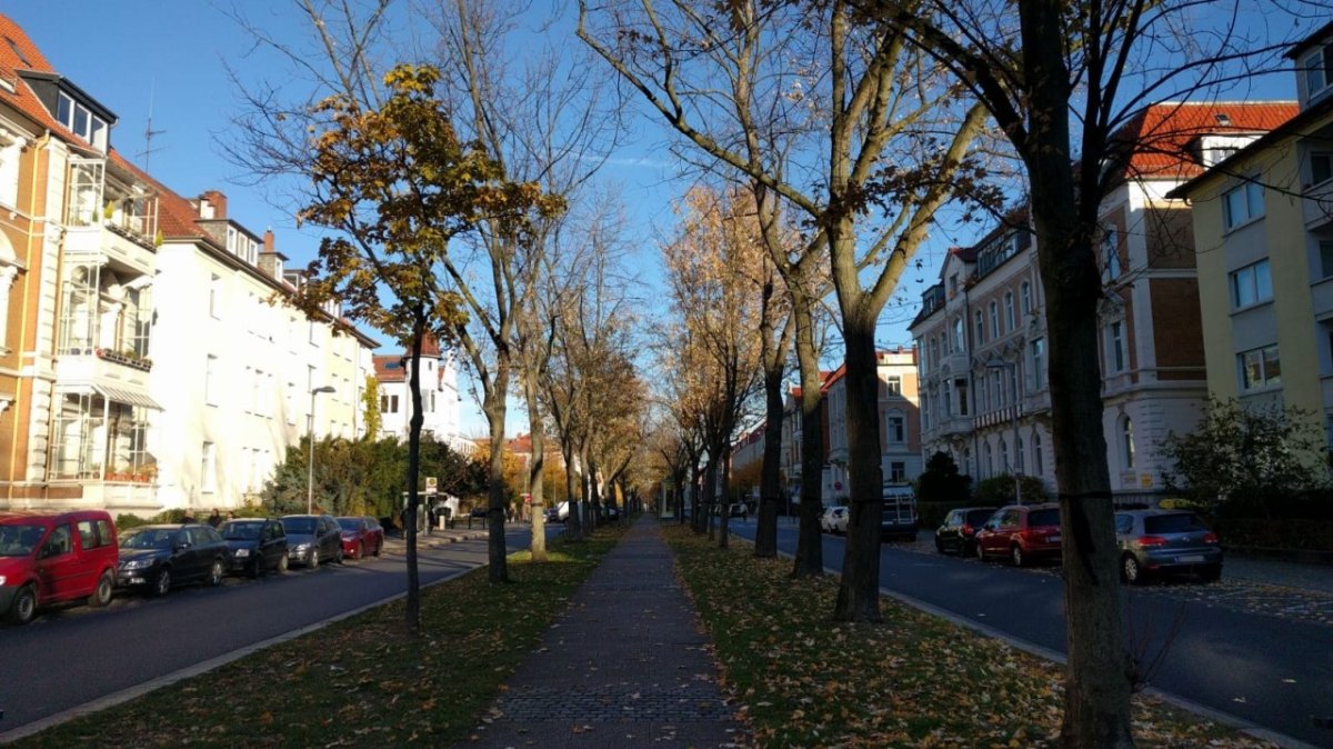 jasperallee