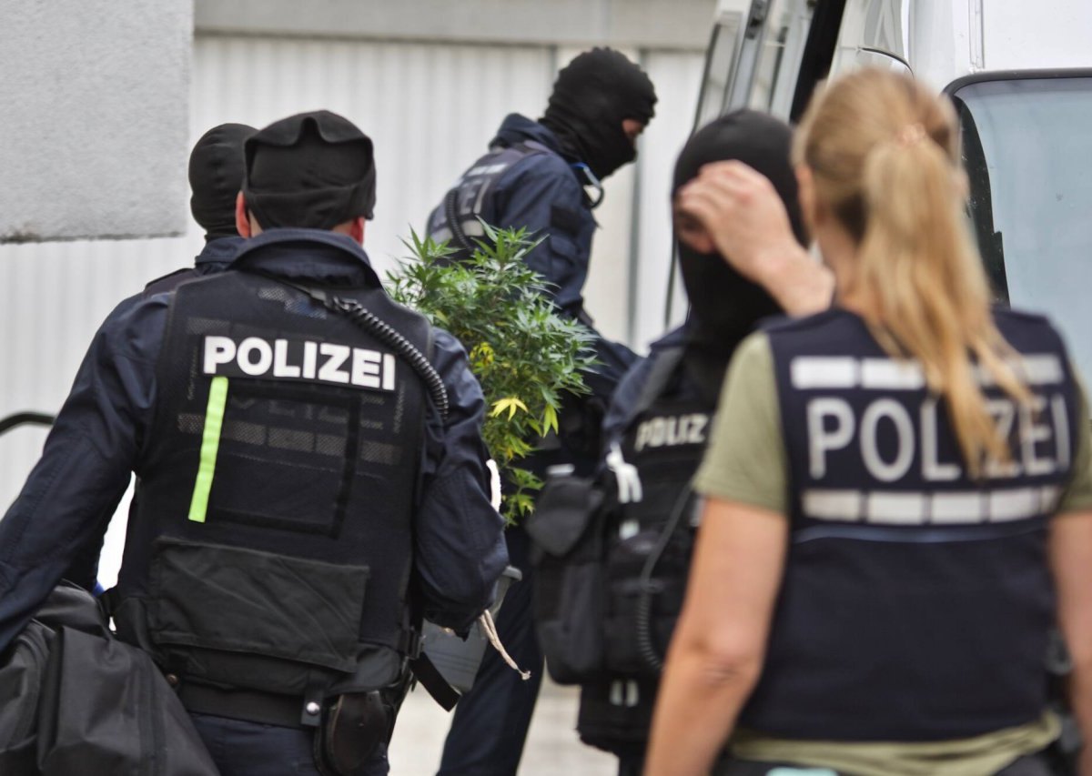 marihuana cannabis plantage hannover schaumburg polizei sek lka festnahmen