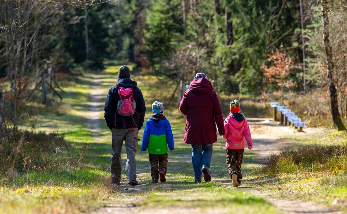 niedersachsen wandern wald.jpg