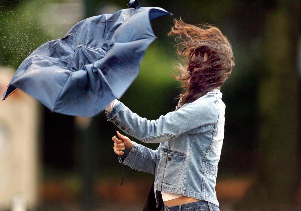 regenschirm regen wind sturm frau