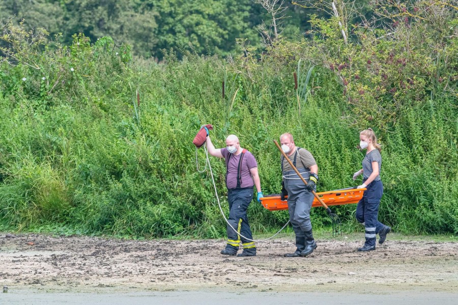 Zwei Feuerwehrmänner machten sich auf den Weg zum Schwan.