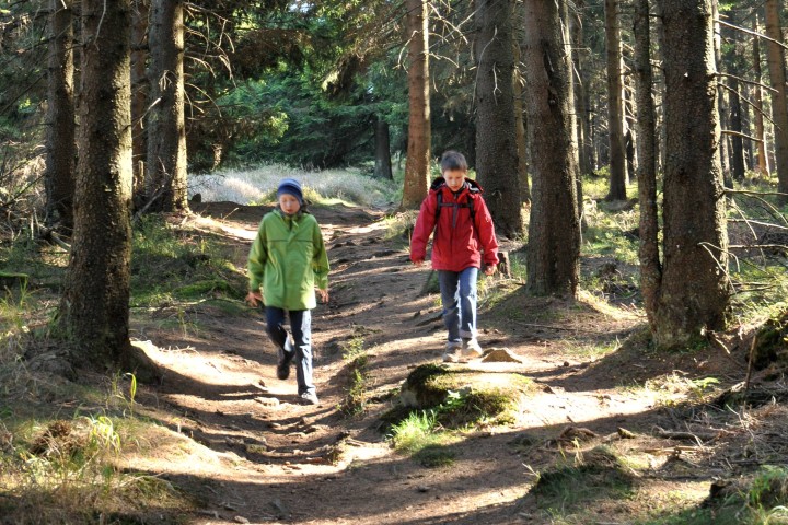 Im Harz wird am Freitag geschossen. Daher sind Bereiche am Wurmberg dicht. (Symbolbild)