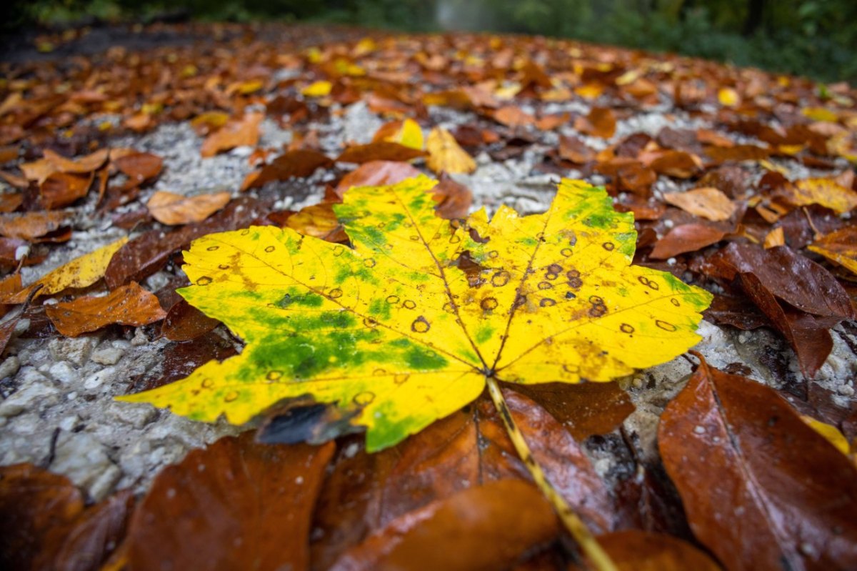 wetter niedersachsen.jpg