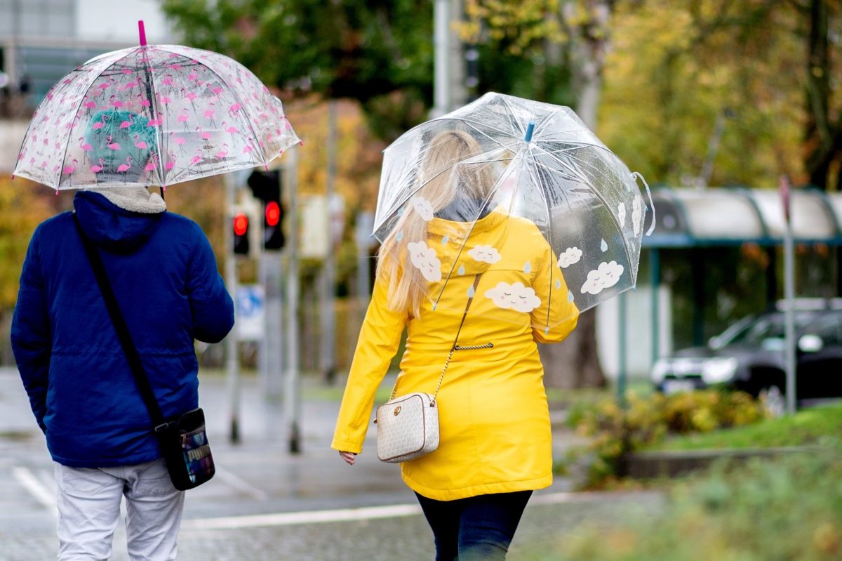 wetter regen braunschweig niedersachsen regenschirm