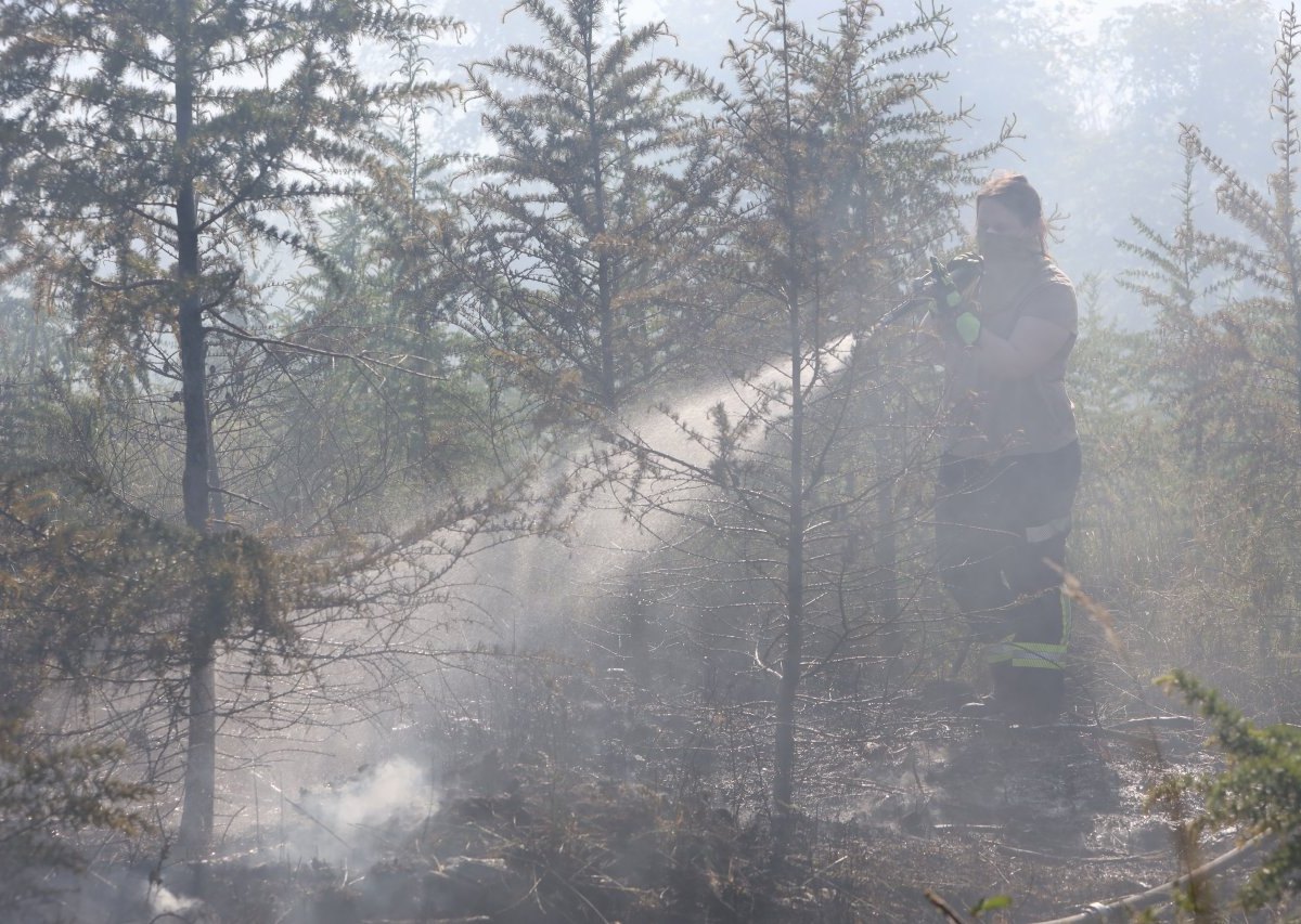 Niedersachsen Waldbrand