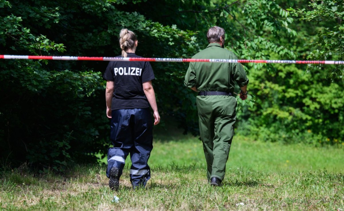 salzgitter mädchen mord fredenberg