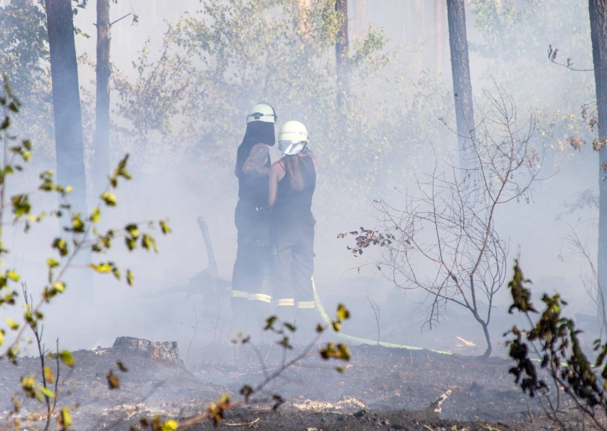 Gifhorn-flächenbrand.jpg