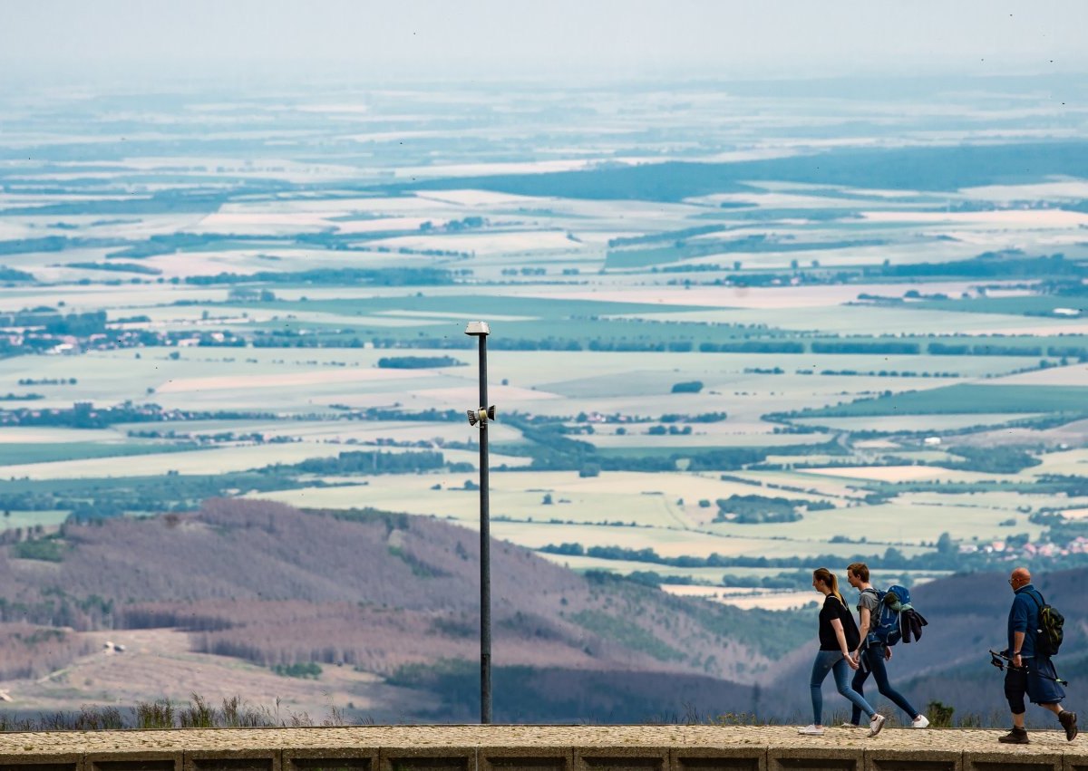 Harz Wandern