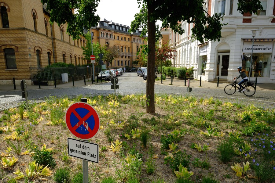 Die Stadt hofft, dass Bürger freiwillig die Bäume in Braunschweig gießen. (Archivbild)