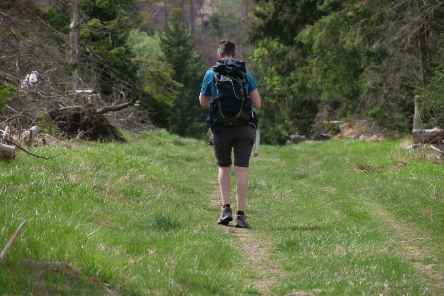 Noch keine Idee wo es im Harz hingehen soll? DAS kann dir bei der Planung helfen. (Archivbild)