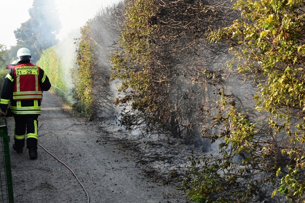 Wolfenbüttel verbrannte Hecke