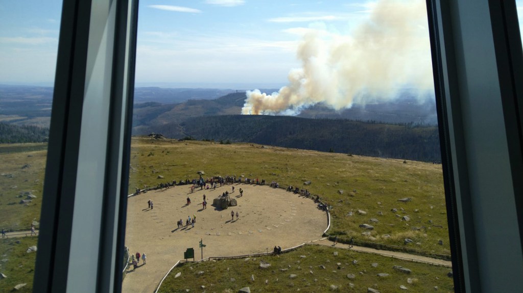 Waldbrand Harz 