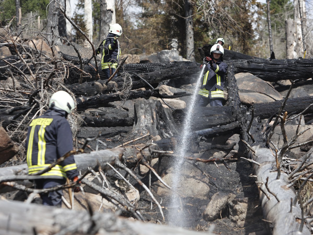 harz brand brocken